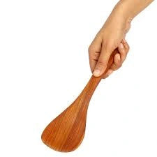 Hand holding a wooden spoon against a white background
